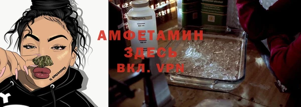 сатива Аркадак