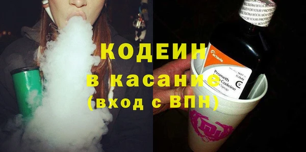 сатива Аркадак