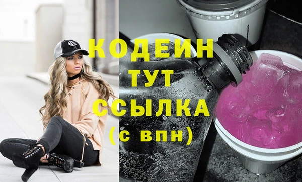 сатива Аркадак