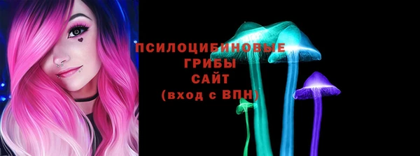 сатива Аркадак