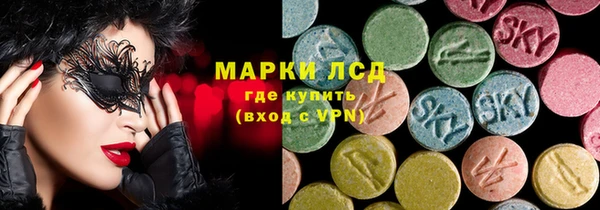 сатива Аркадак