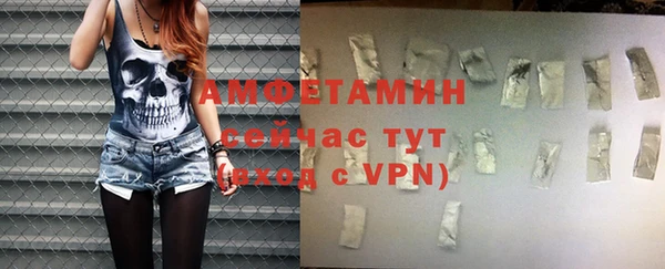 сатива Аркадак